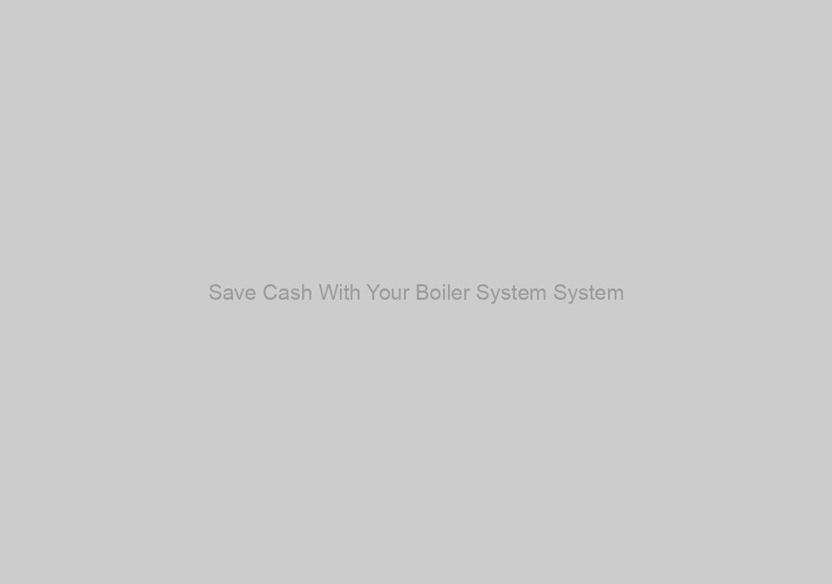 Save Cash With Your Boiler System System